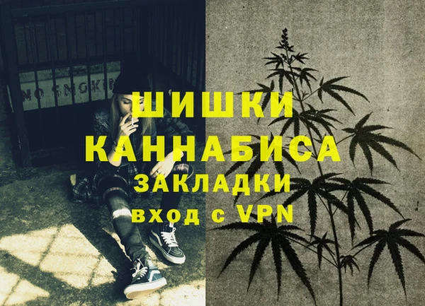 прущая мука Магас