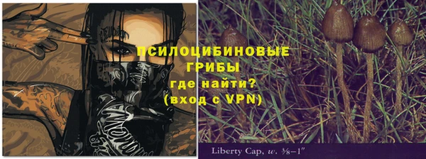прущая мука Магас