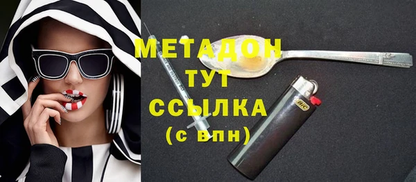 прущие грибы Лабытнанги