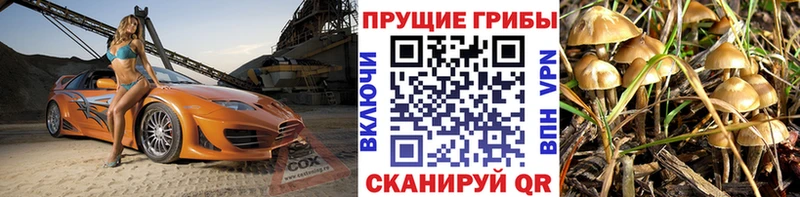 Галлюциногенные грибы Cubensis  Сурск 